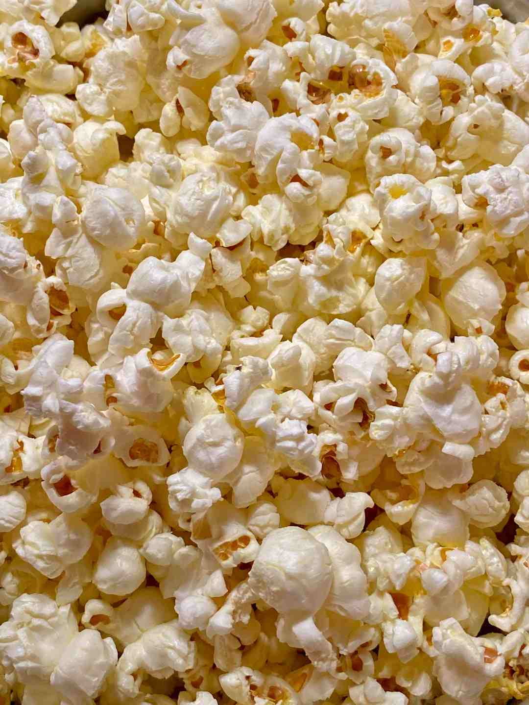 Popcorn, Host Family Stay