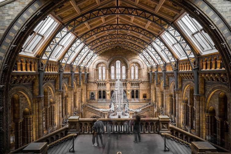 Natural History Museum in Kensington, London | Host Family Stay
