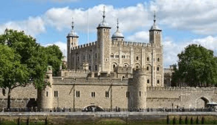 Tower Hill | Host Family Stay